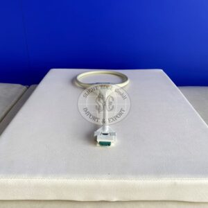 Siemens - Loop Stand Coil - Ring-Spule mit Stativ - PN5512079 K2215